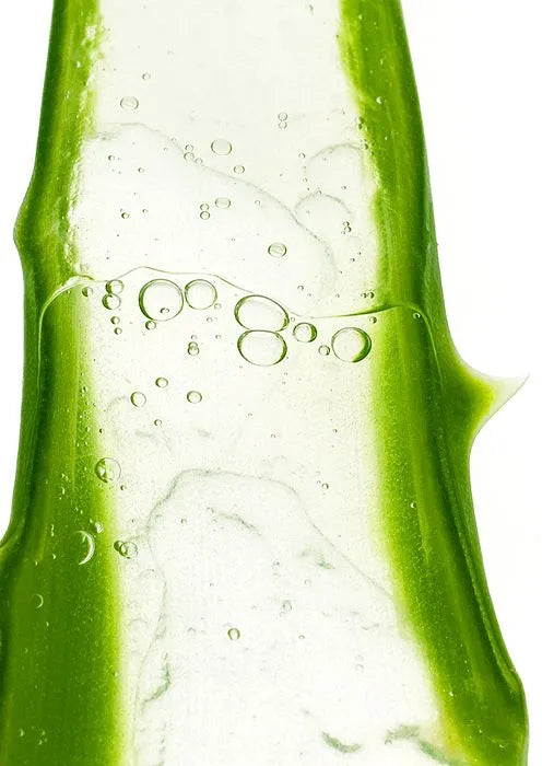 L’Aloe vera bio