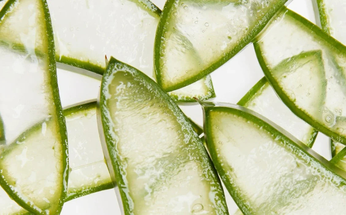 Aloe vera sur le visage : bienfaits prouvés et comment l'utiliser