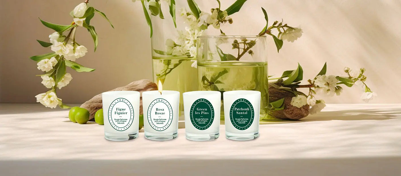 Les meilleures bougies parfumées : Vegan, Naturelles, Artisanales