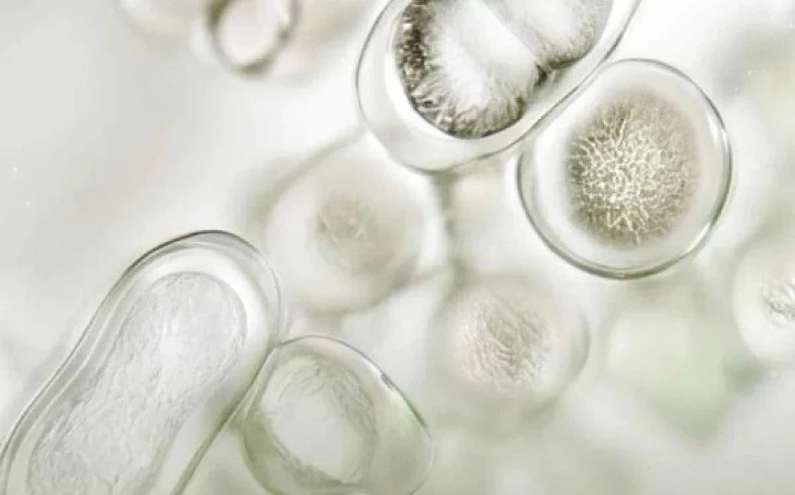 Microbiote cutané : comment en prendre soin ?
