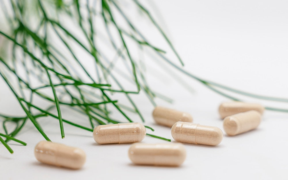 Prébiotiques : définition et vertus cosmétiques