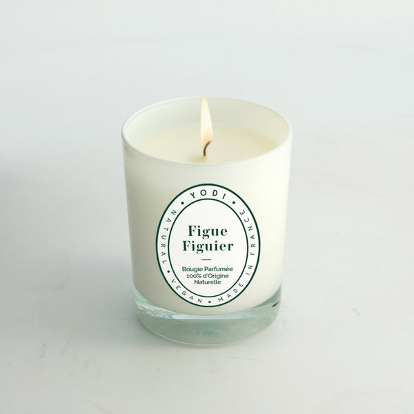 Bougie Figue Figuier