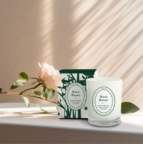 Bougie parfumée Rosa Rosae Yodi avec sa boîte, une rose posée à côté